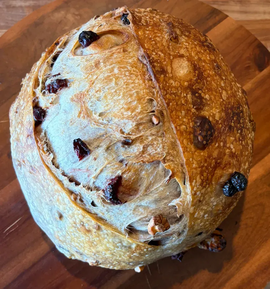 Walnut & Cranberry - January 2nd.webp